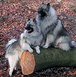 2 Wolfsspitze_web