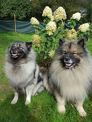 Ayla & Vince