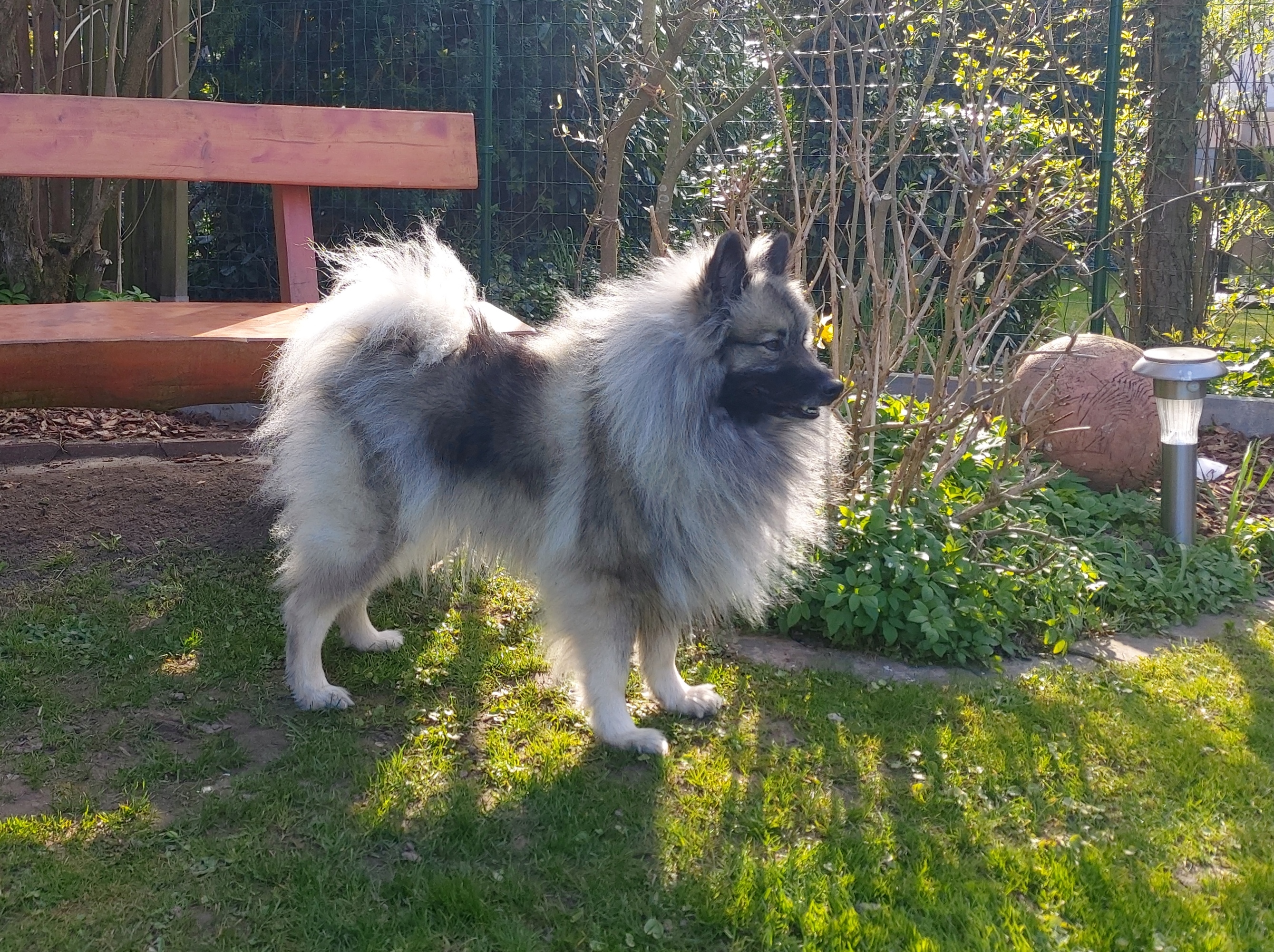 Mali