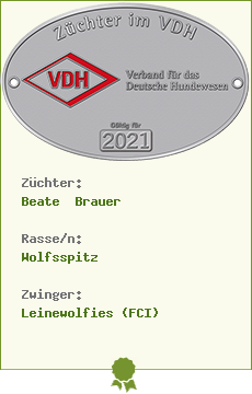 Plakette17-schmal