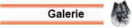 Galerie