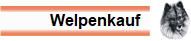 Welpenkauf