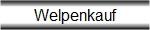 Welpenkauf